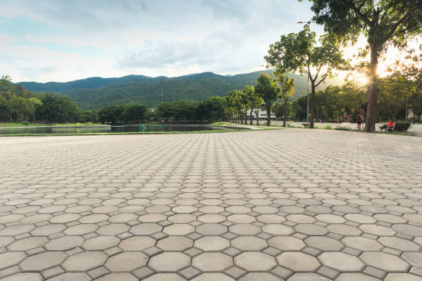 Best Local Driveway Pavers  in Norco, CA